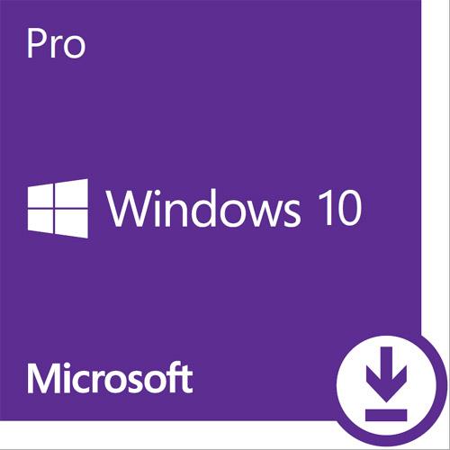 ESD-Win Pro 10 專業下載版