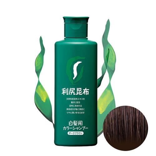 Sastty 利尻昆布白髮專用泡沫染髮露_咖啡色  日本第一 嶄新染法