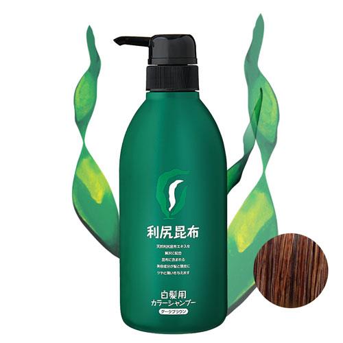 Sastty 利尻昆布白髮專用泡沫染髮露500ml_褐色 日本第一白髮剋星 