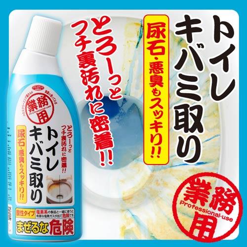 【AIMEDIA艾美迪雅】馬桶專用濃縮去汙消臭劑免刷也乾淨 300ml