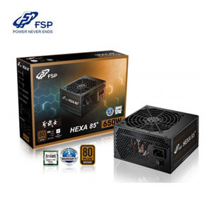 FSP全漢 聖武士 650W 電源供應器 銅牌 全日系 入門電競首選
