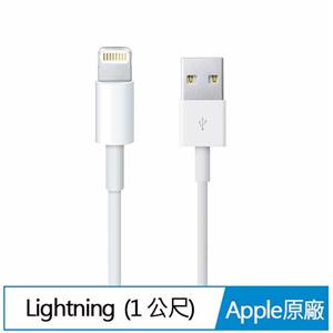 APPLE Lightning 對 USB 連接線 (1 公尺)