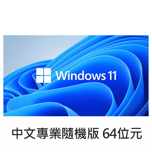 Windows 11 中文專業隨機版 64位元