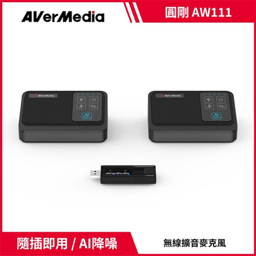AVerMedia 圓剛 AW111 5.8GHz 一對二無線收音麥克風組