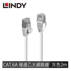 LINDY林帝 CAT.6A 極細乙太低煙無鹵網路線 U/FTP, 灰色, 2m