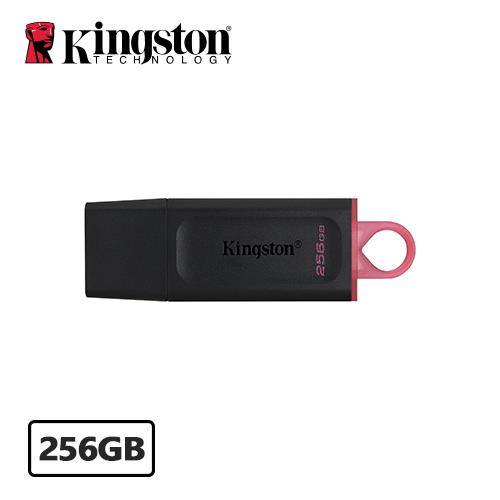 KINGSTON金士頓 DataTraveler Exodia 隨身碟 DTX 256G