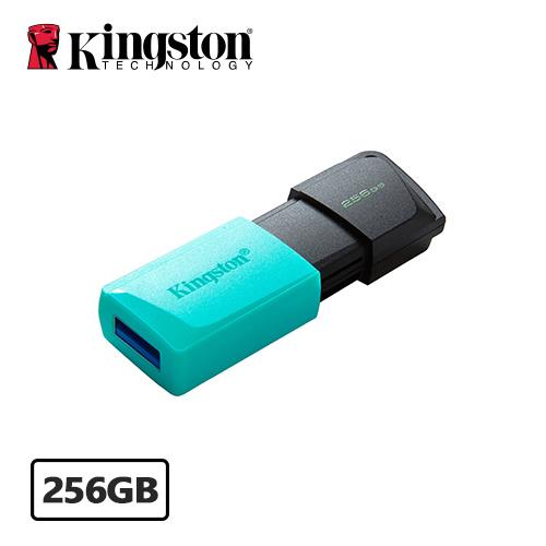 KINGSTON金士頓 DataTraveler Exodia M 隨身碟 DTXM 256G