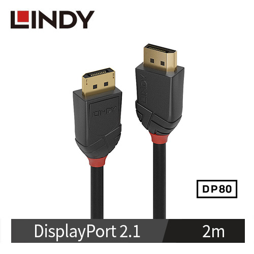 LINDY林帝 BLACK LINE DP 2.1版 80G 公 to 公 傳輸線, 2m