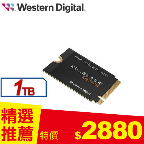 WD 黑標 SN770M 1TB M.2 2230 PCIe 4.0 NVMe SSD